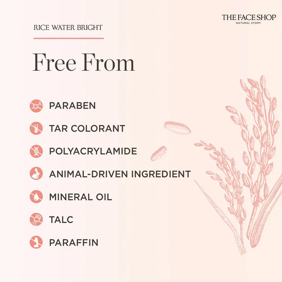 THE FACE SHOP RICE WATER BRIGH - Luxury Skincare Aesthetic 评论和价格